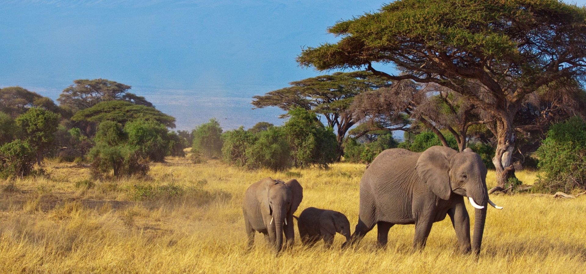 research topics in tourism in kenya