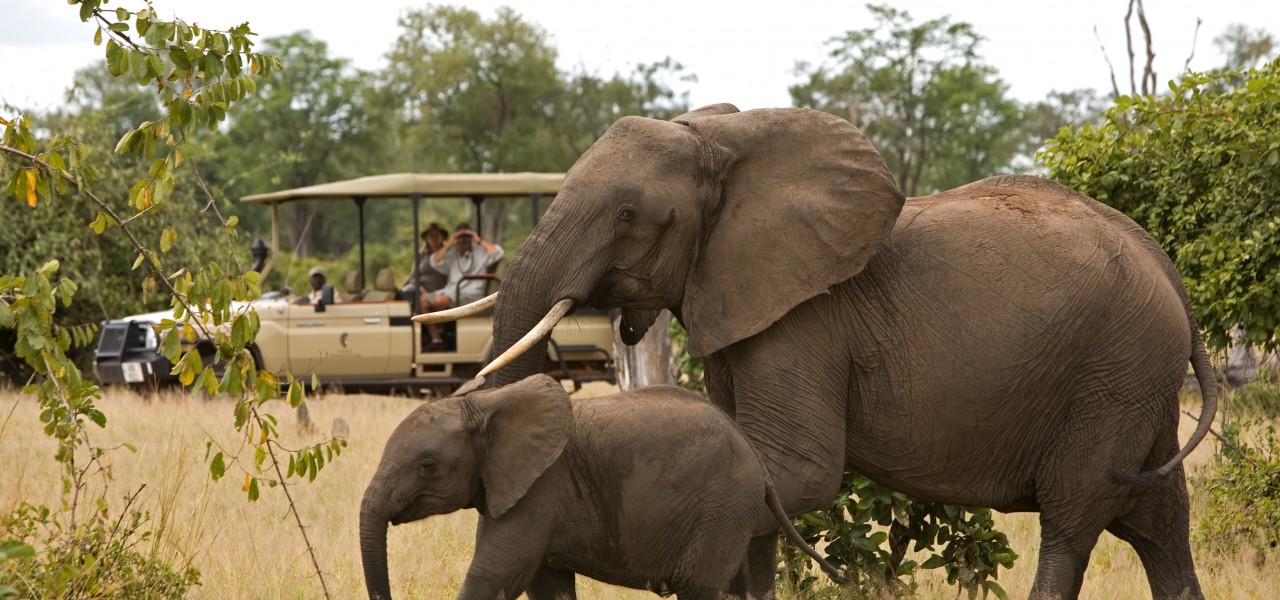 10 Day Zambia 360 Highlights Tour - Top Tourist