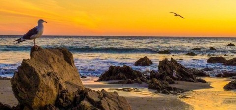 Best Photography Spots in Malibu, California - Top Tourist