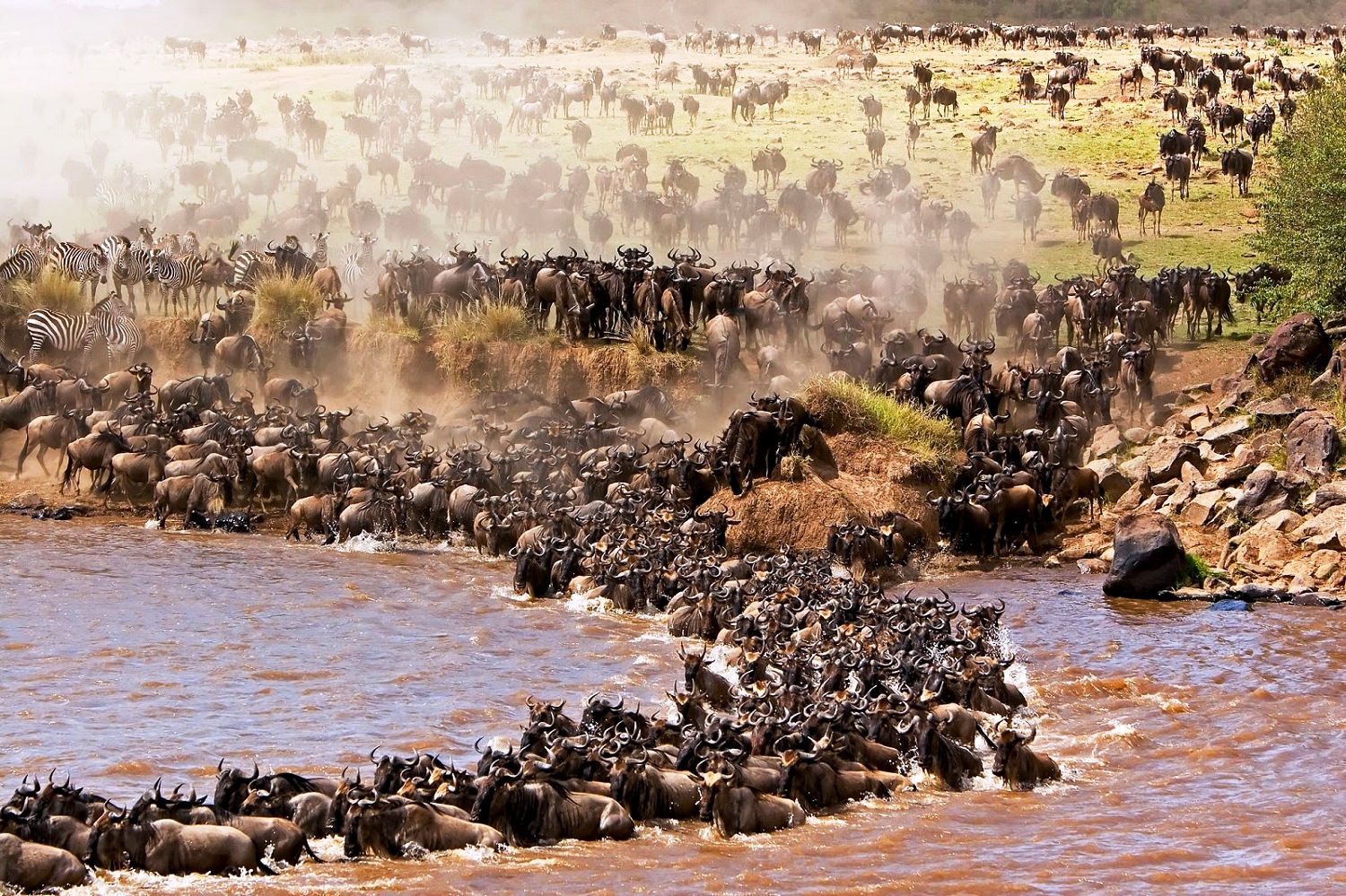serengeti migration tours from south africa